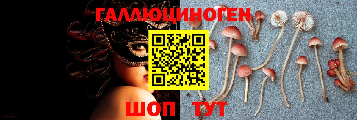 Галлюциногенные грибы GOLDEN TEACHER  Псилоцибиновые грибы Psilocybe  Вход с VPN  Соль-Илецк 