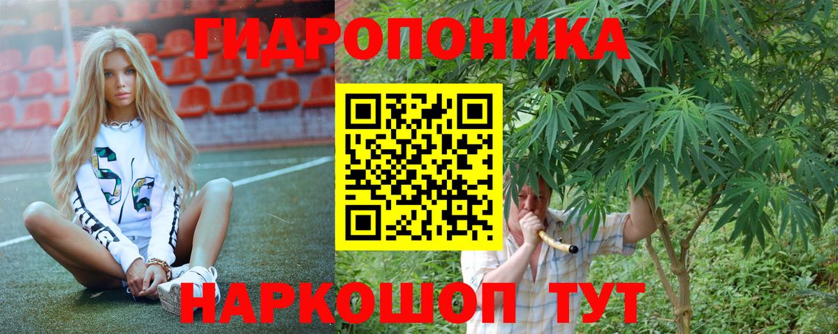 Бошки Шишки гибрид Соль-Илецк